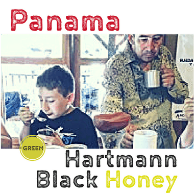 Panama Hartmann Estate 2017 - Black Honey (green)-0