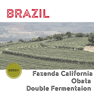 BRAZIL California Obata Double Ferment (green)-0