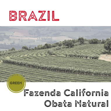 BRAZIL California Obata Natural (green)-0