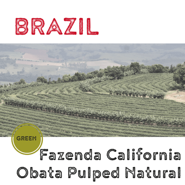 BRAZIL California Obata Pulped Natural (green)-0