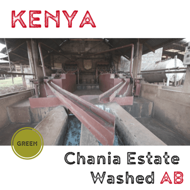 Kenya Chania Estate AB Washed (green)-0