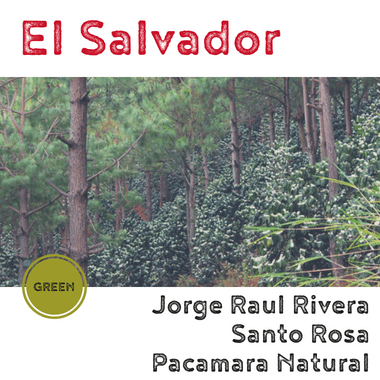 El Salvador Raul Rivera, Santa Rosa (Lot 15) (green)-0