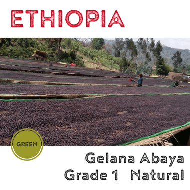 Ethiopia Yirgacheffe Gelana Abaya Grade 1 Natural (green)-0