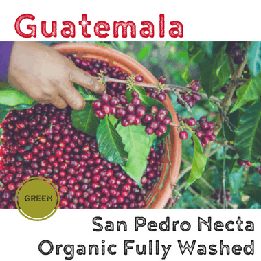 Guatemala San Pedro Necta Organic (green)-0