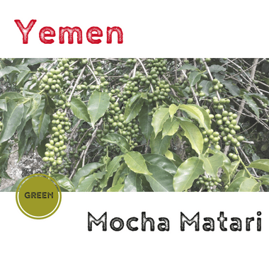 Yemen Mocha Matari 2018 (green)-0