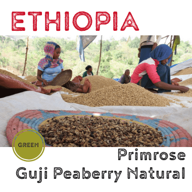 Ethiopia Primrose Guji Peaberry Natural (green)-0