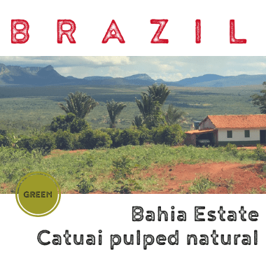 Brazil Bahia Estate Catuai Pulped Natural (Green)-0