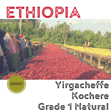 Ethiopia Yirgacheffe Kochere Grade 1 Natural 2018 (green)-0