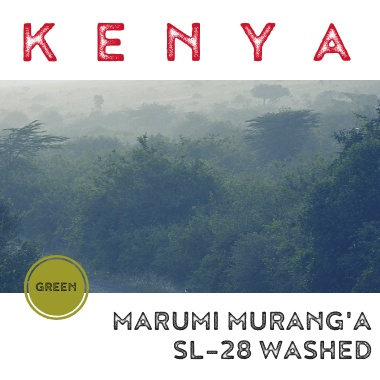 Kenya Marumi Murang'a AA Washed (green)-0