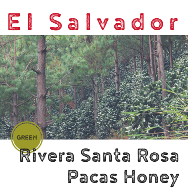 El Salvador Raul Rivera, Santa Rosa Pacas Honey 2018 (green)-0