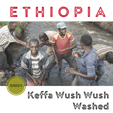 Ethiopia Keffa Wush Wush 2018-19 washed (green)-0