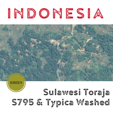 Indonesia Sulawesi Saleko Toraja Washed (green)-0