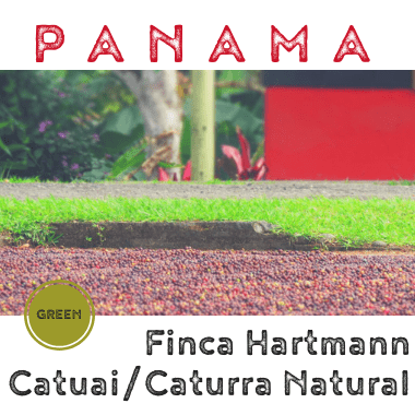 Panama Hartmann Catuai/Caturra Natural (green)-0