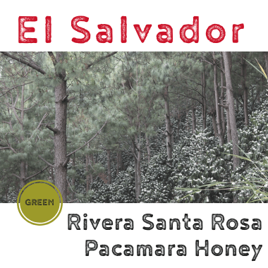 El Salvador Raul Rivera, Santa Rosa Pacamara Honey 2018 (green)-0