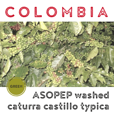 Colombia ASOPEP Organic washed (green)-0