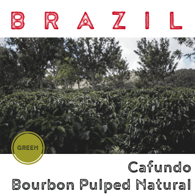 Brazil Cafundo Bourbon Pulped Natural (Green)-0