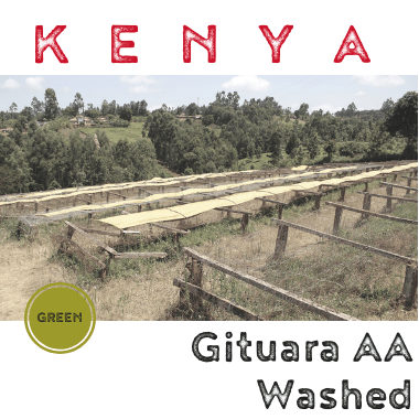 Kenya Gituara AA Washed (green)-0