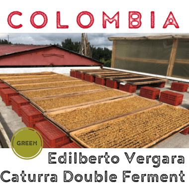 Colombia Edilberto Vergara Extended Fermentation (green)-0