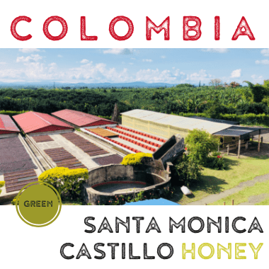 Colombia Santa Monica Castillo Honey (green)-0