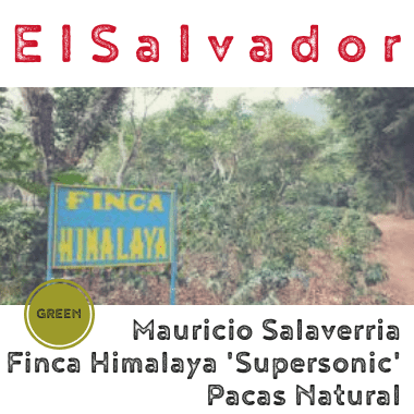 El Salvador Mauricio Salaverria Supersonic Pacas Natural 2019 (green)-0