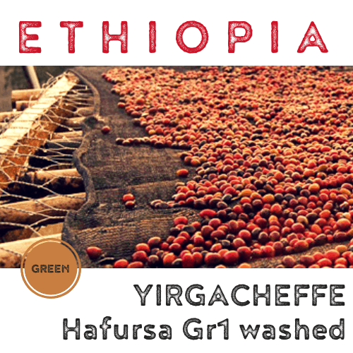 Ethiopia Yirgacheffe Hafursa 2019 Grade 1 Washed (green)-0