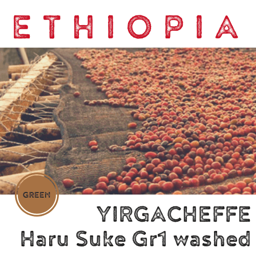 Ethiopia Yirgacheffe Haru Suke 2019 Grade 1 Washed (green)-0