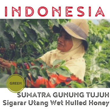 Indonesia Sumatra Gunung Tujuh Wet Hulled Honey (green)-0