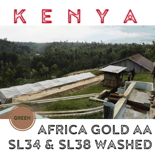 Kenyan African Gold AA Washed (green)-0