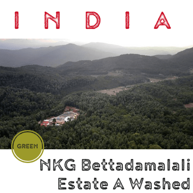 INDIA NKG Bettadamalali Estate A Washed (green)-0