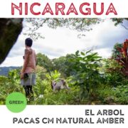 Nicaragua El Arbol Pacas CM Natural Amber (Green)