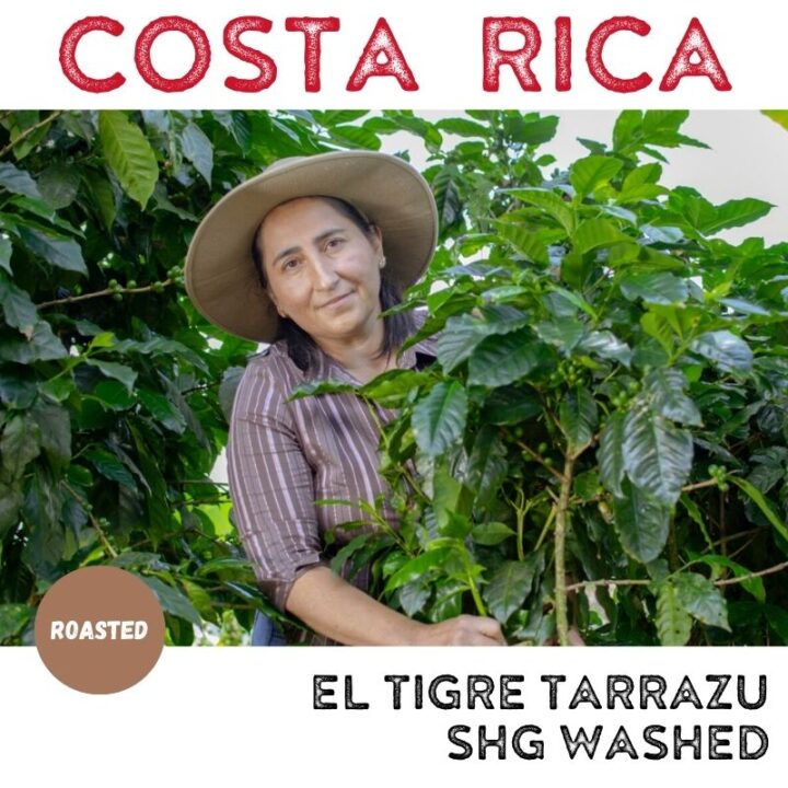 Costa Rica El Tigre Tarrazu SHG Washed (Filter Roast)